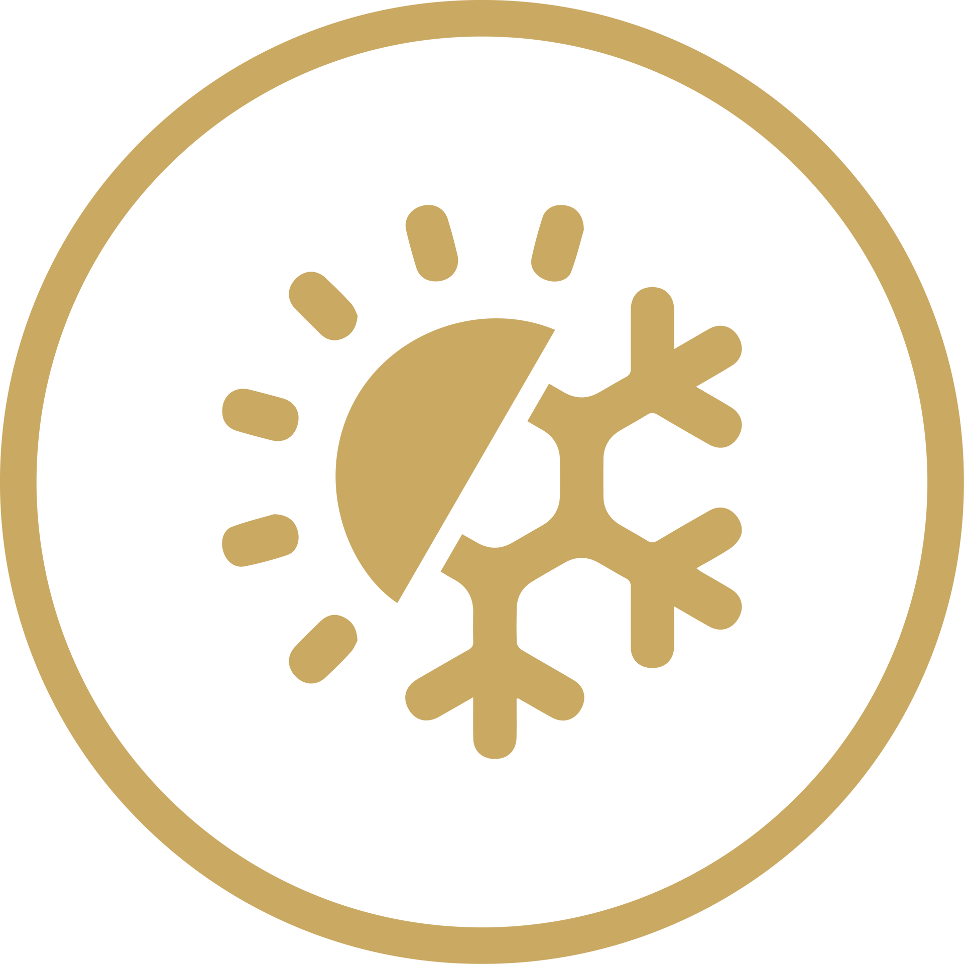 Gold weather icon showing sun and snowflake in a circle