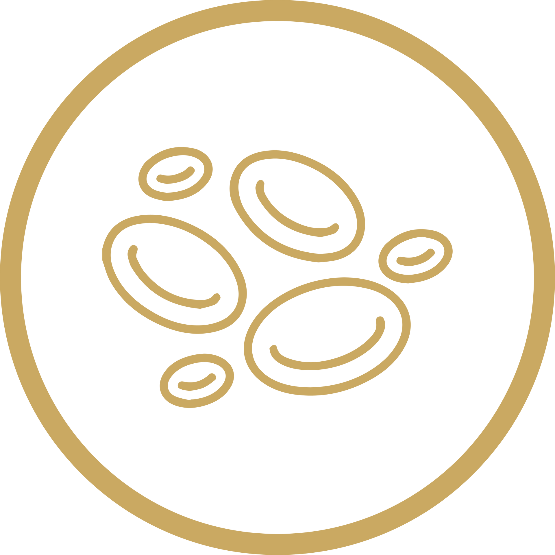Gold circle with stylized gold seeds or beans inside on a white background