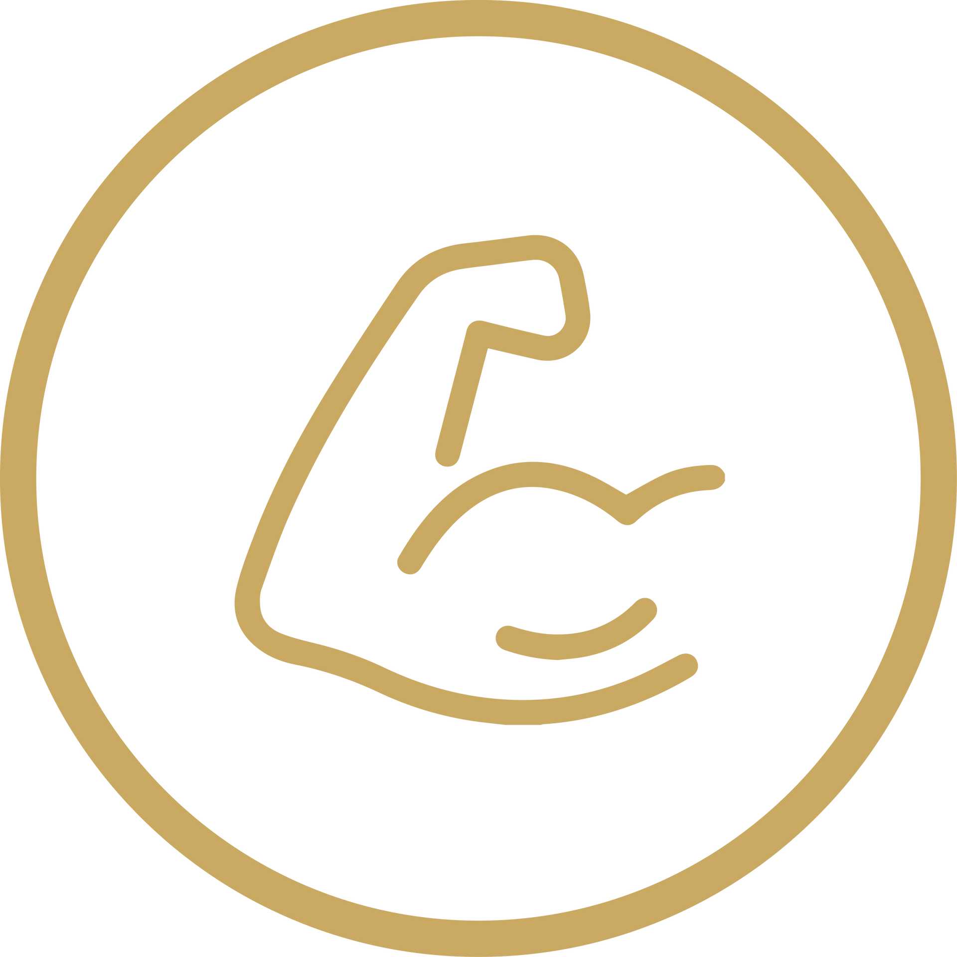 Gold outline of a flexed arm inside a gold circle on a white background