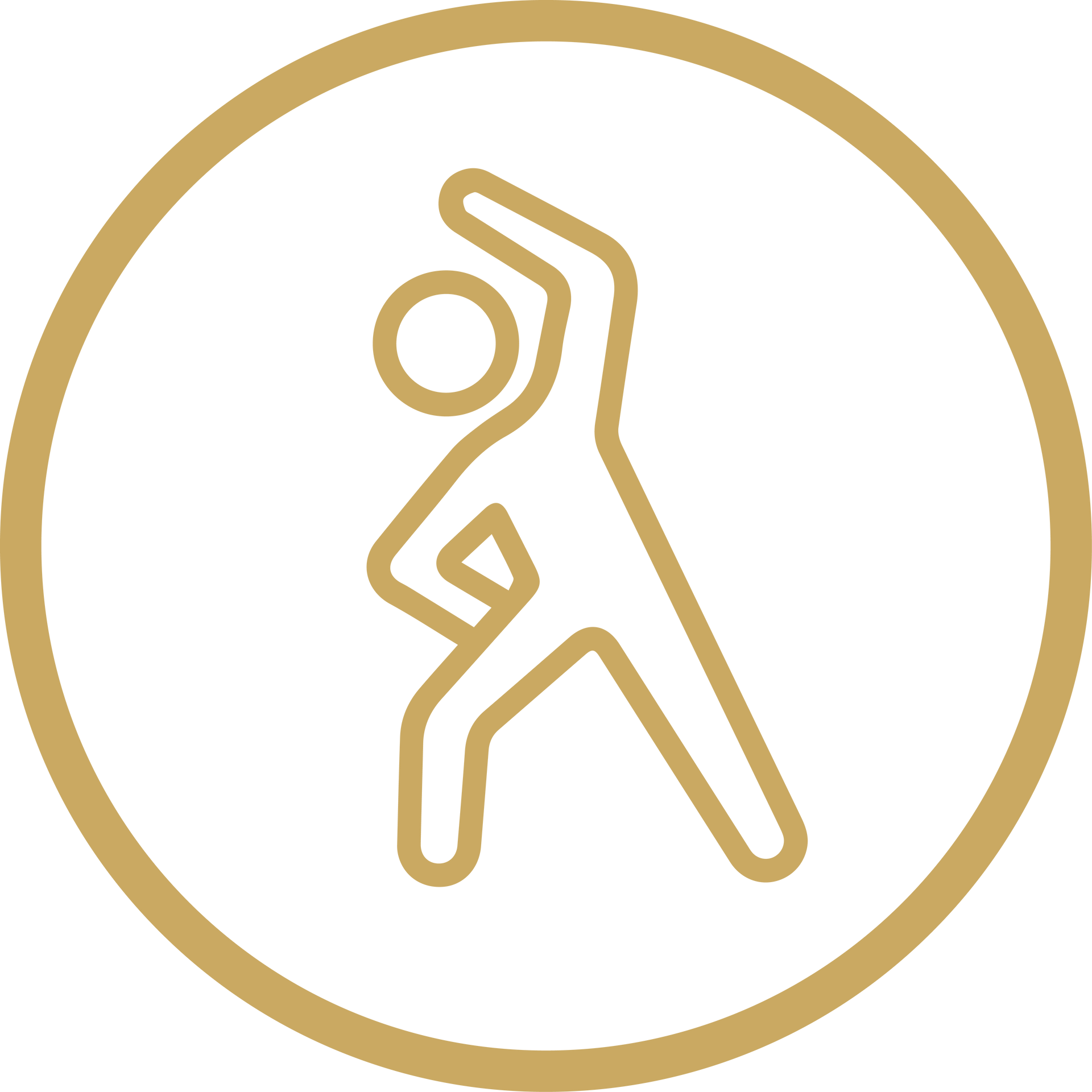 Gold line icon of a gymnast stretching inside a gold circle on a white background