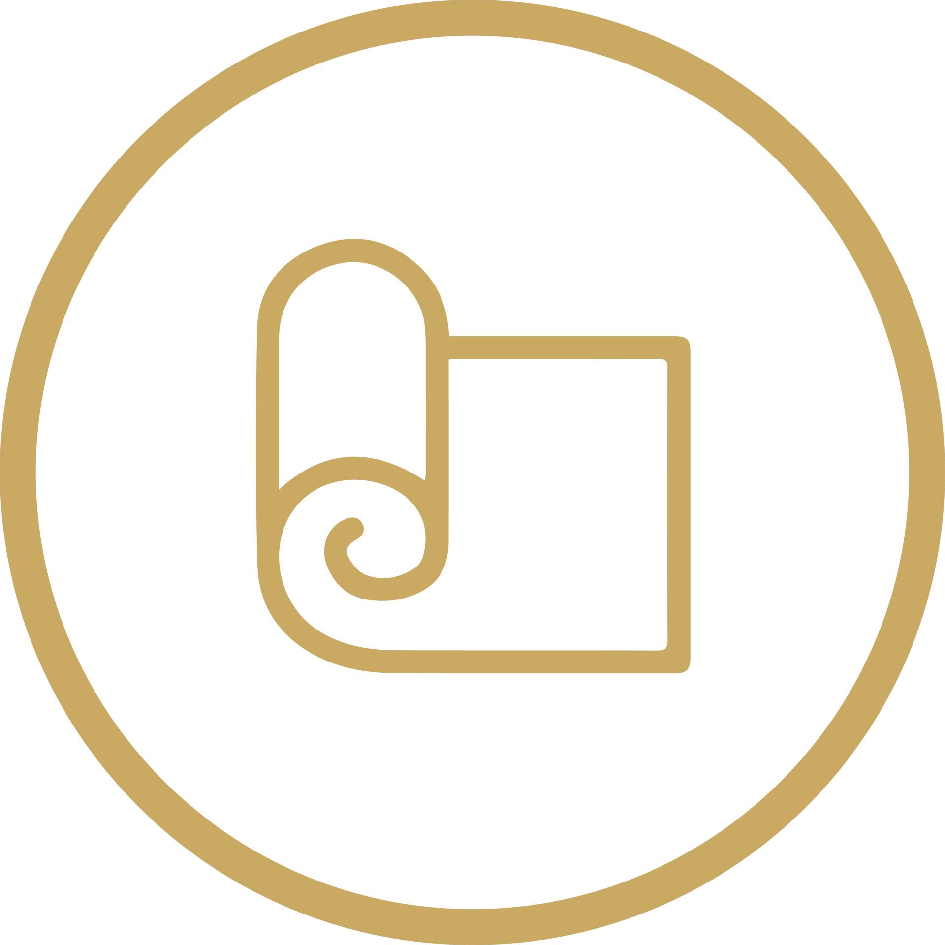 Gold line-art icon of a rolled parchment inside a gold circle on a white background