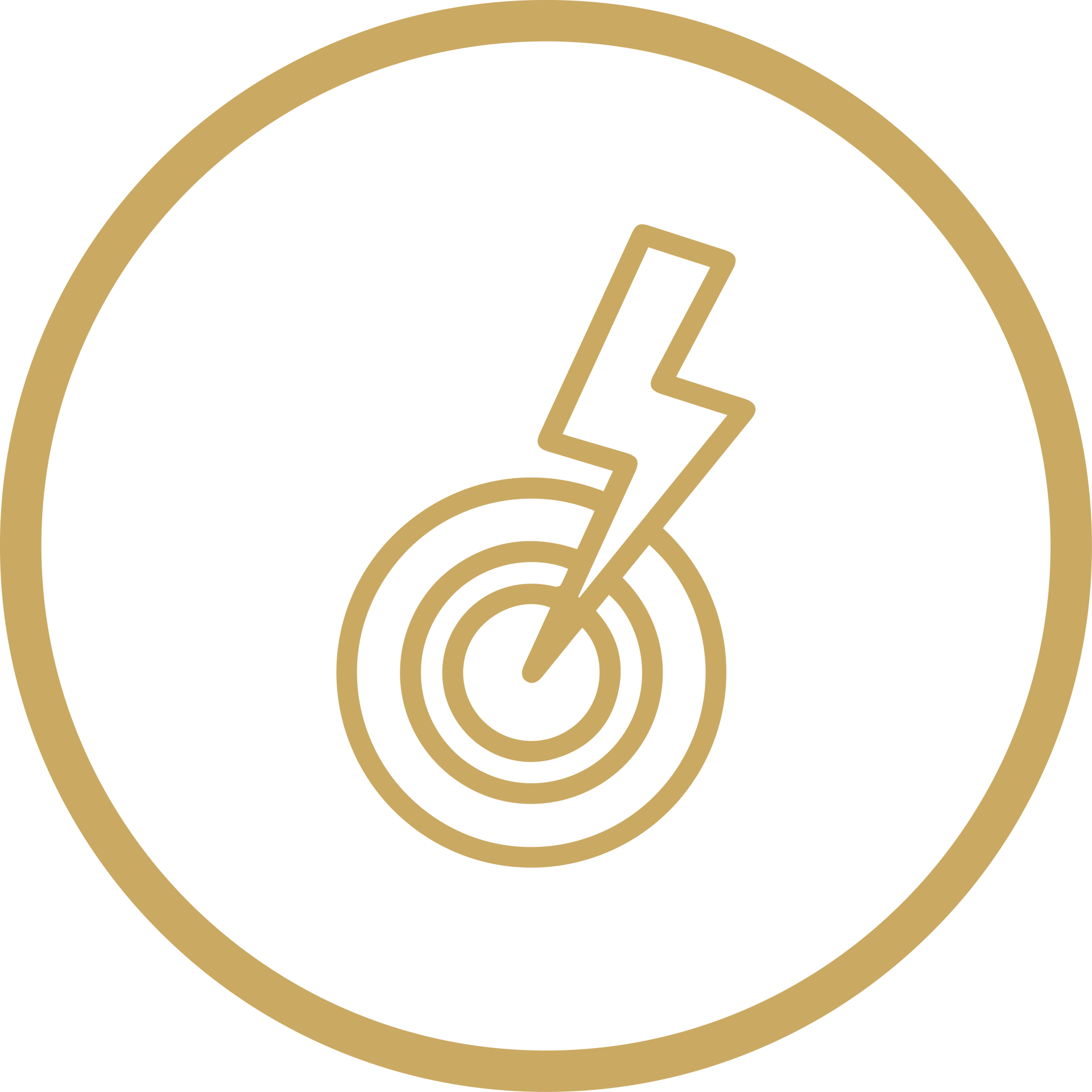 Gold target with lightning bolt icon inside a circle, suggesting a goal or achievement badge