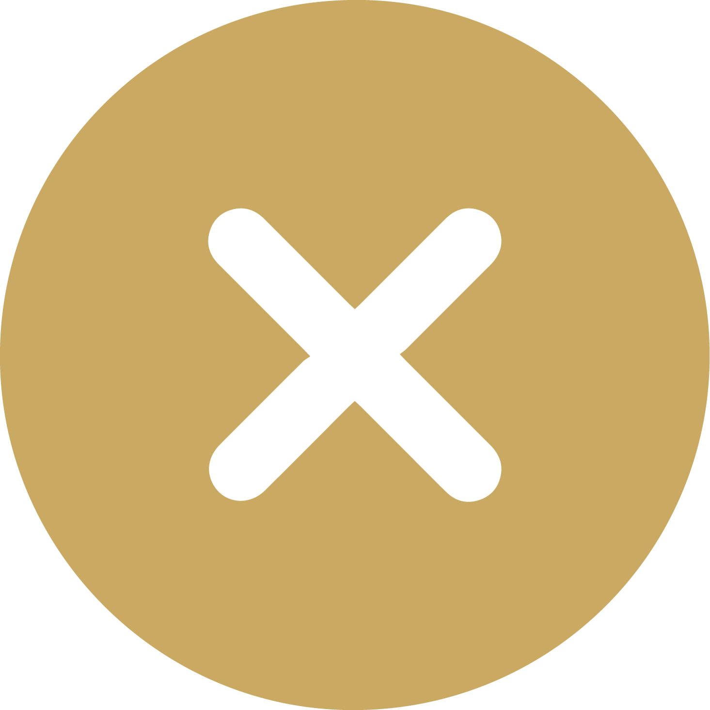 White X icon in a gold circle
