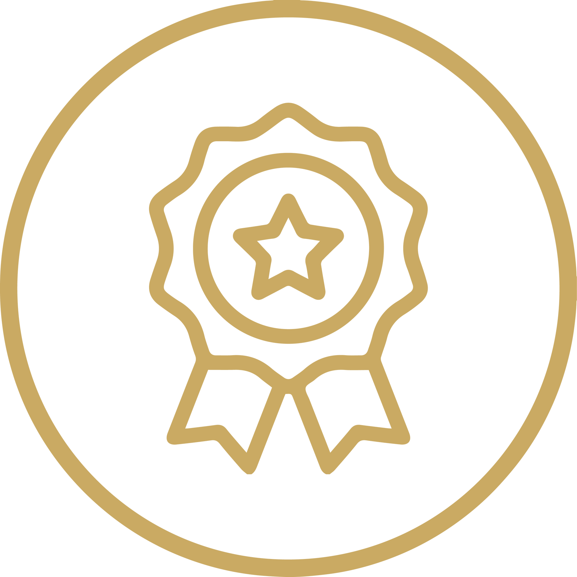 Gold award medal icon inside a circle on a white background.
