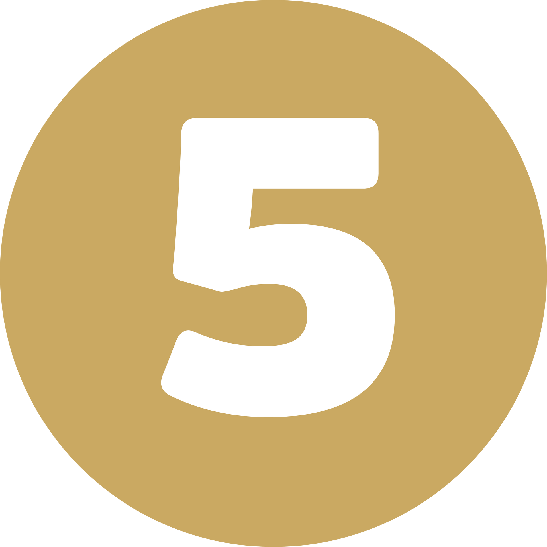 Gold circle with a large white number 5 inside