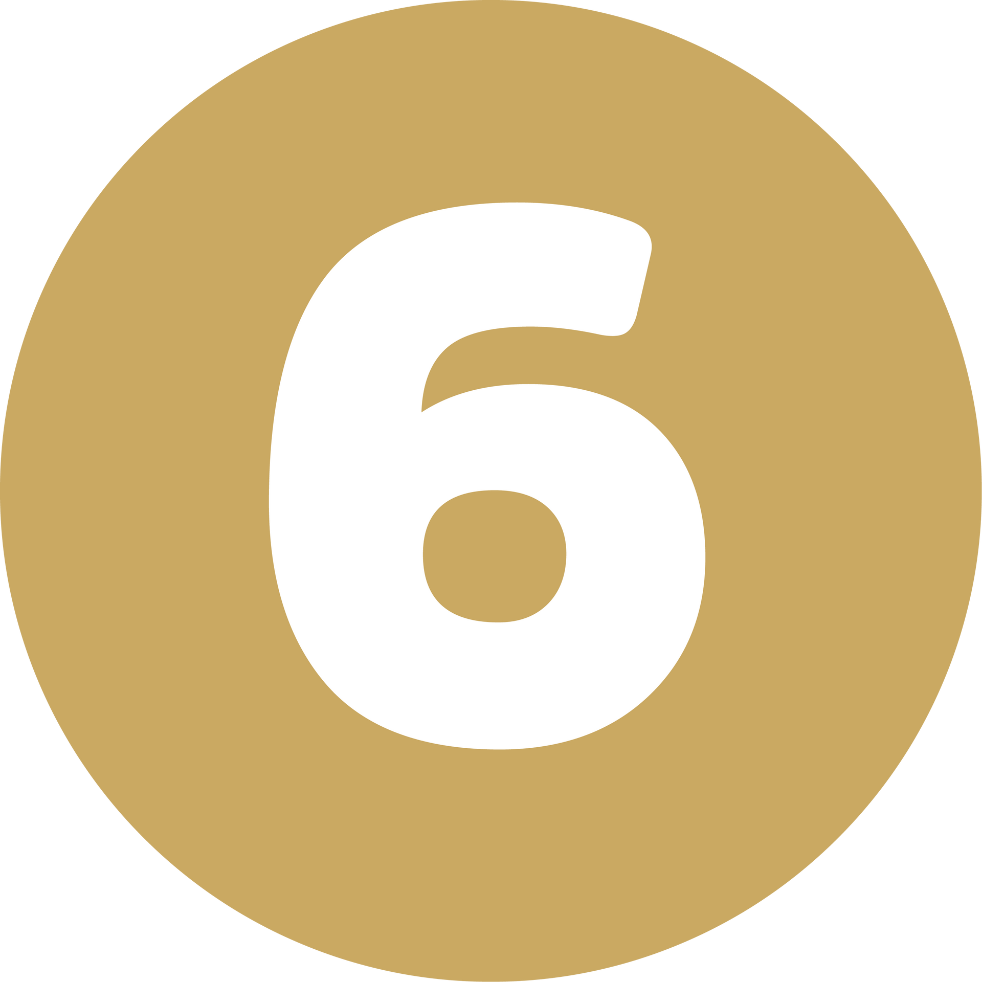 White number 6 inside a gold circle on a white background