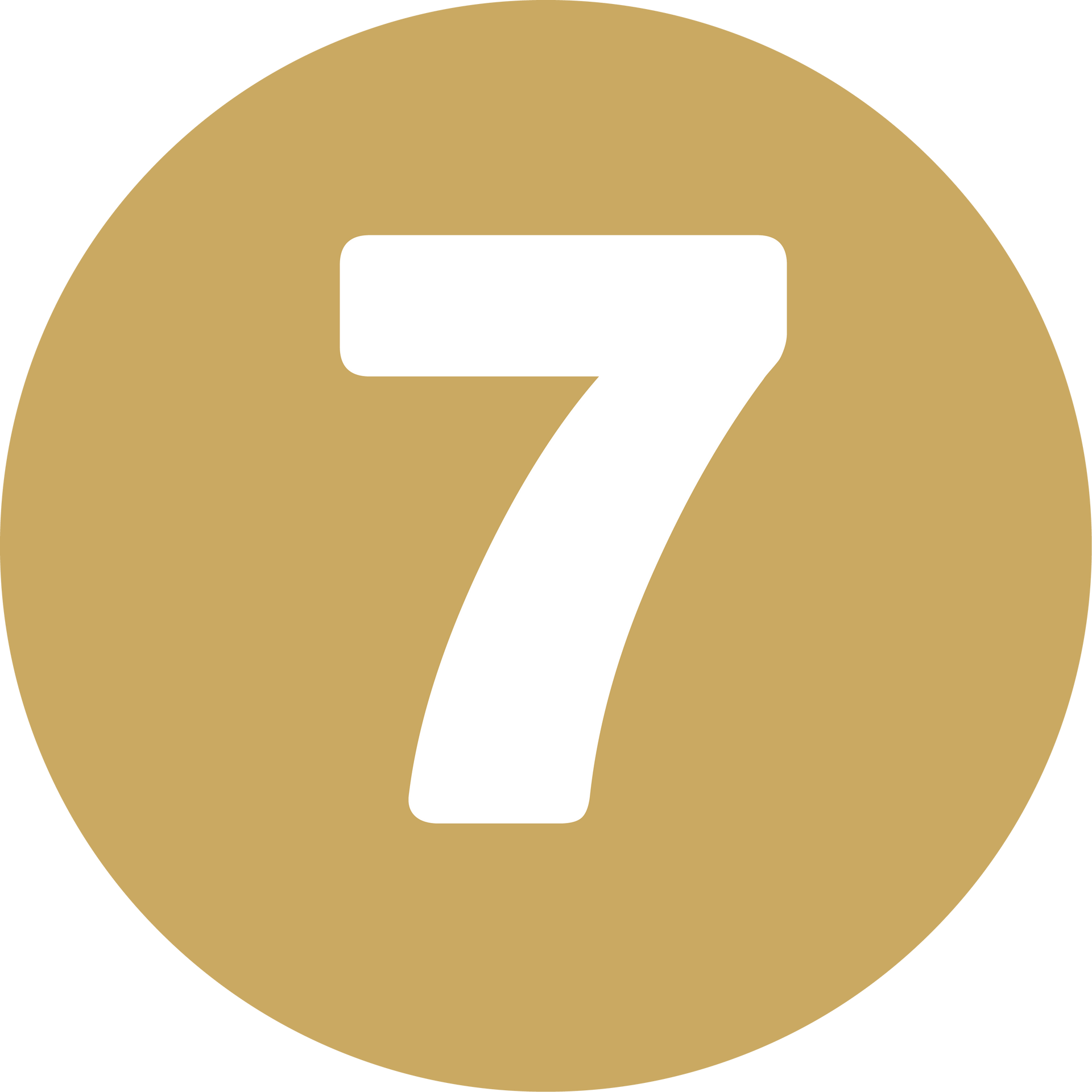 White number 7 centered in a gold circle