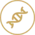 Gold DNA helix icon inside a gold circle on a white background