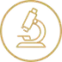 Gold outline microscope icon inside a circle on a white background
