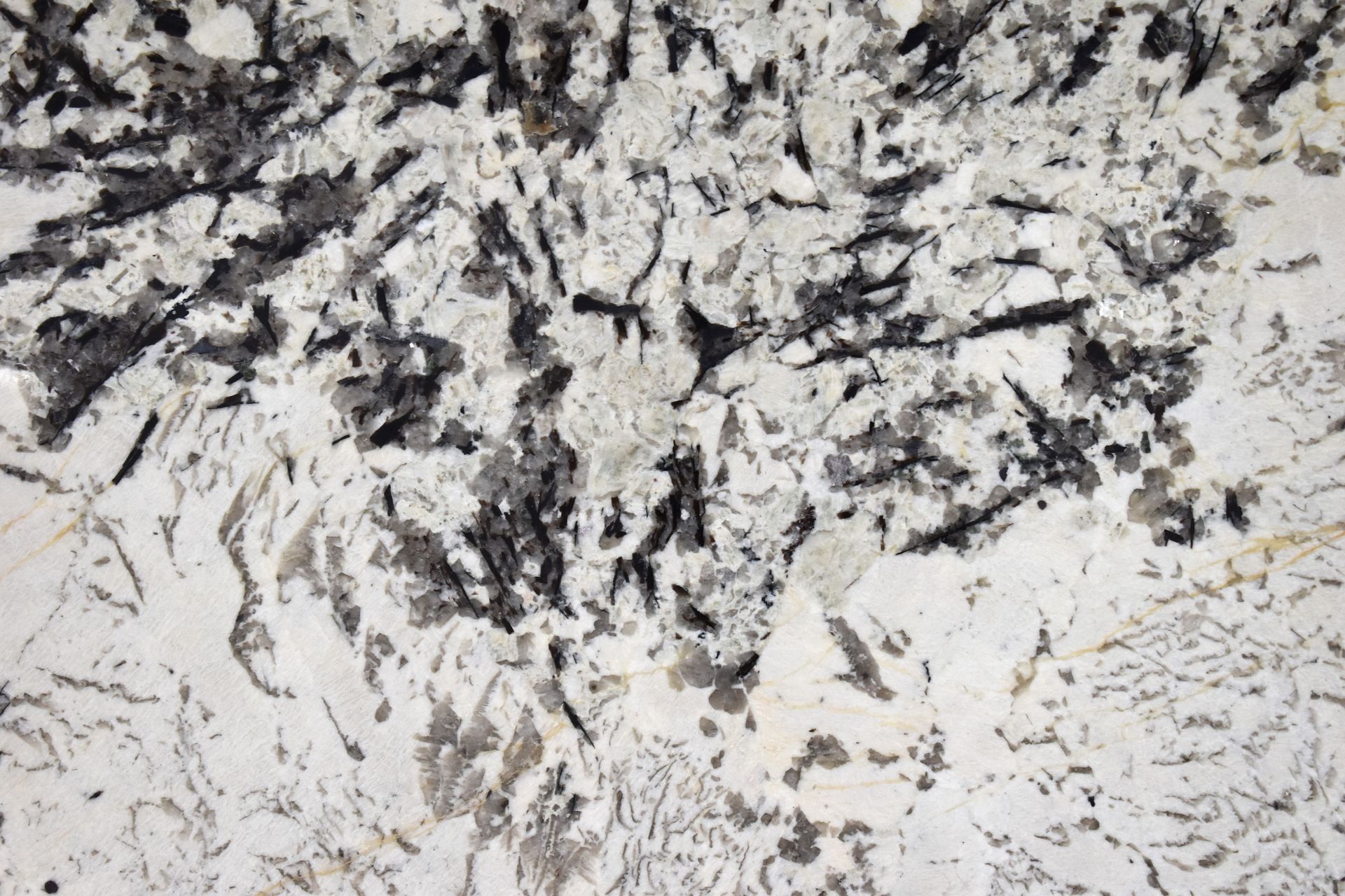 Splendor White 1045