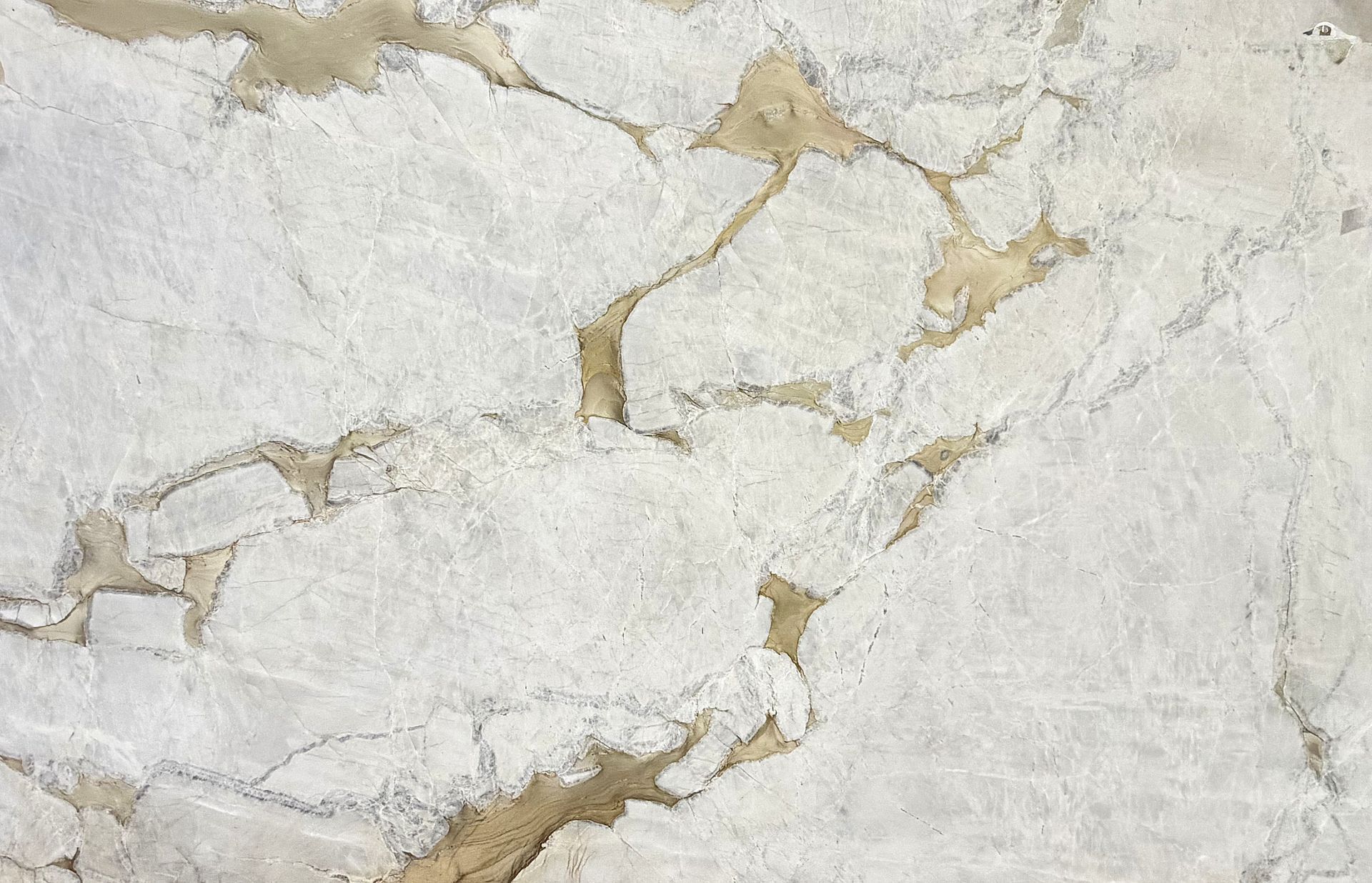 Macchia Oro 2cm Matte 5277