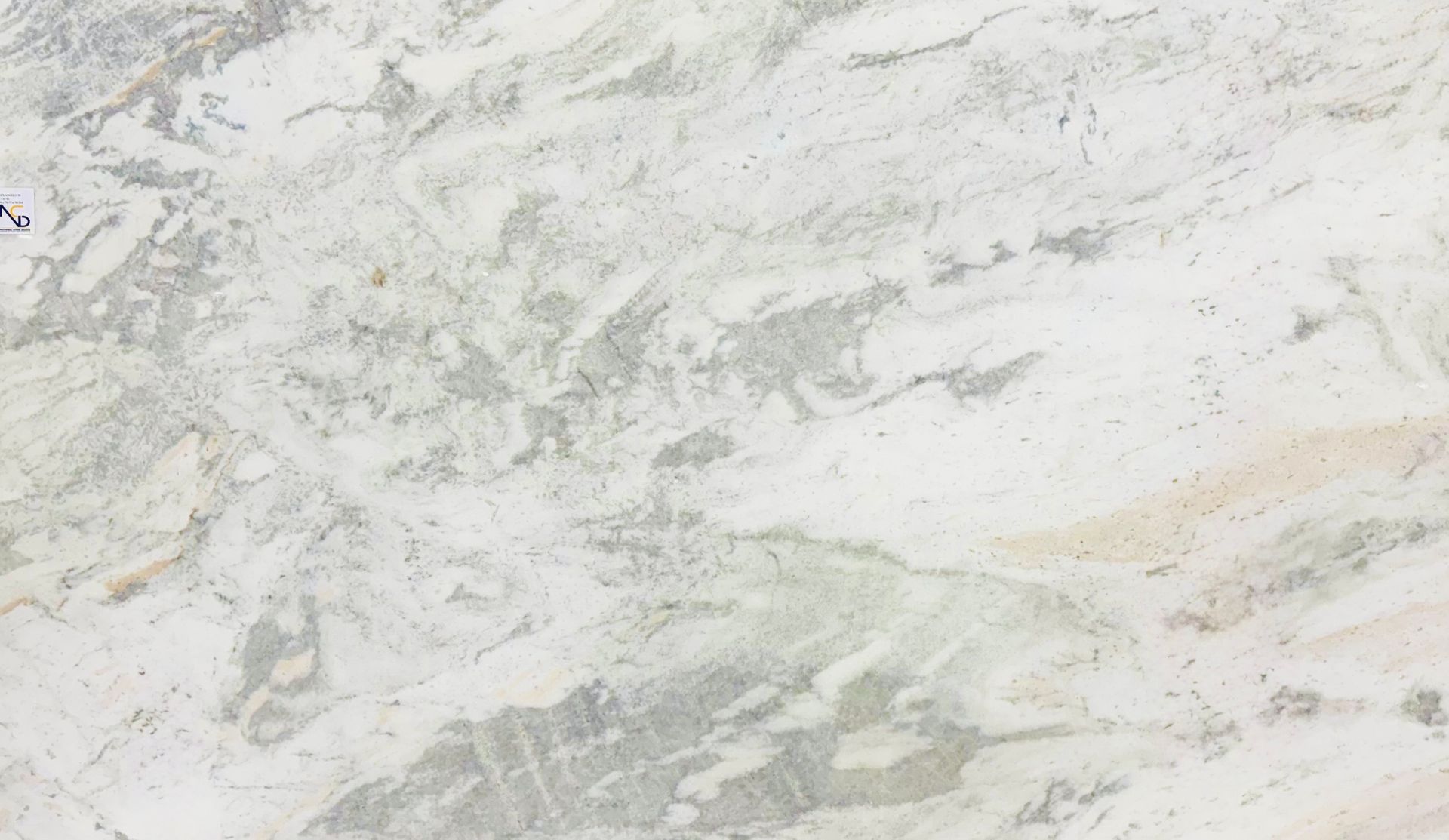 Michelangelo 2cm 4361