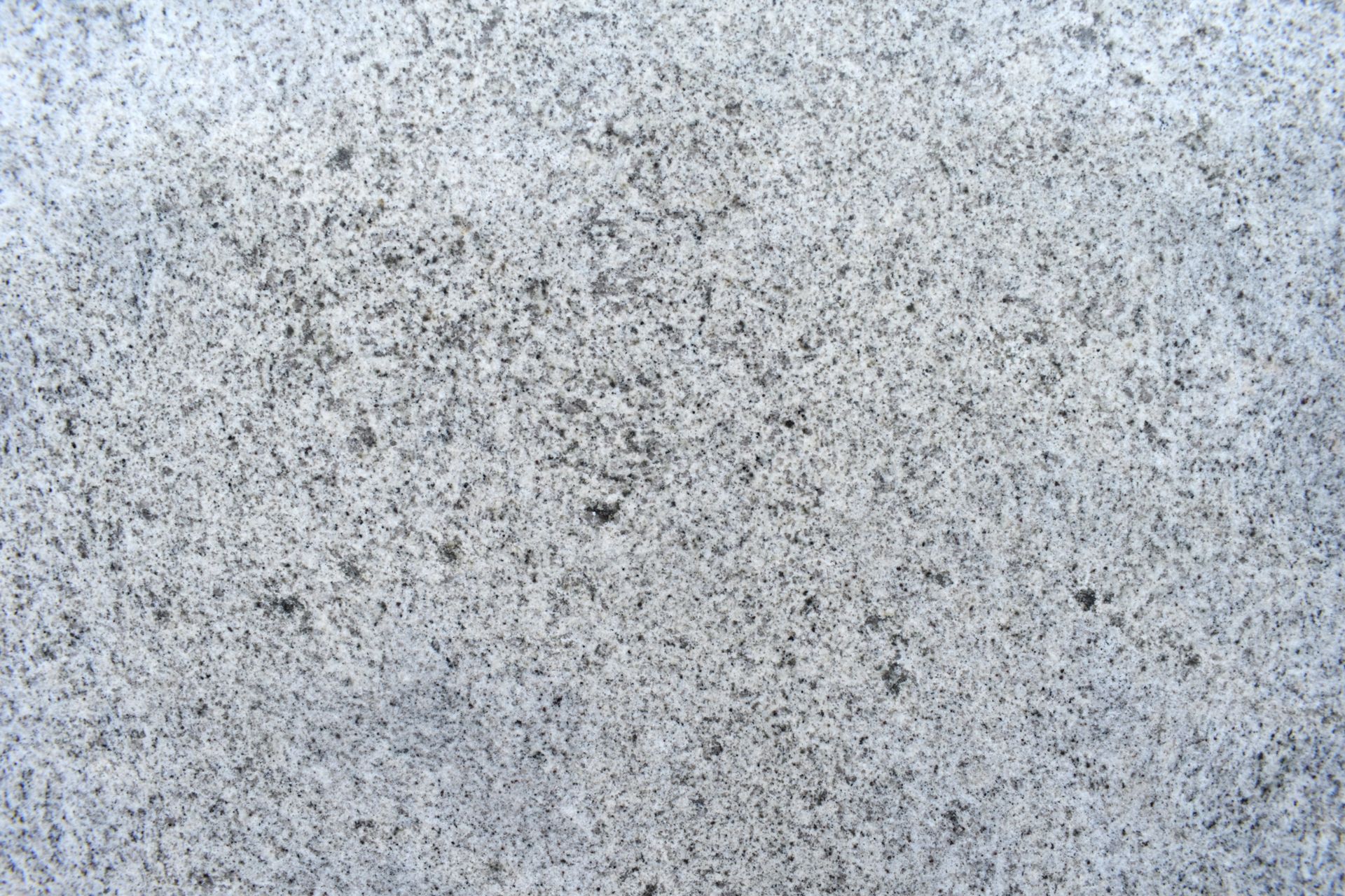 Kashmir White  3374