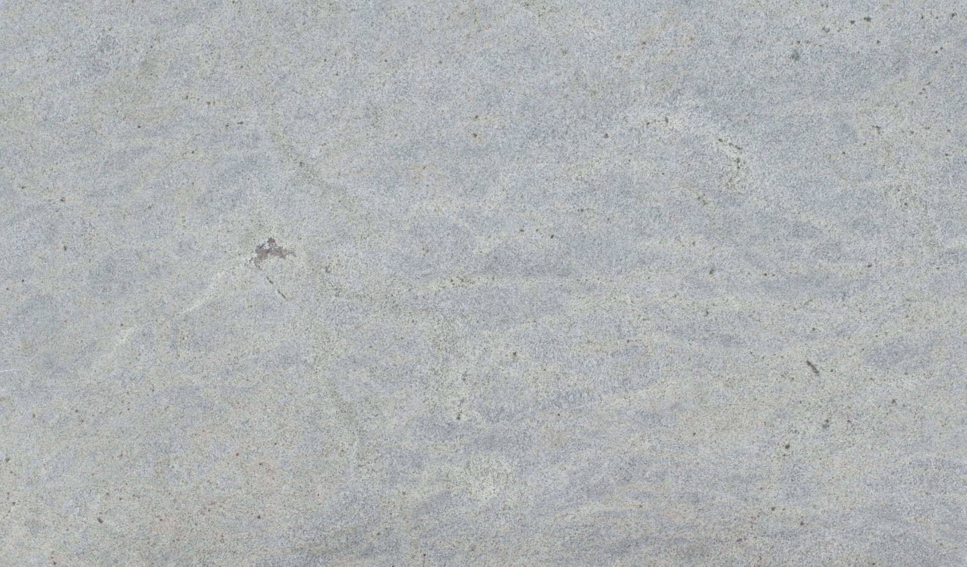 Kashmir White  3374