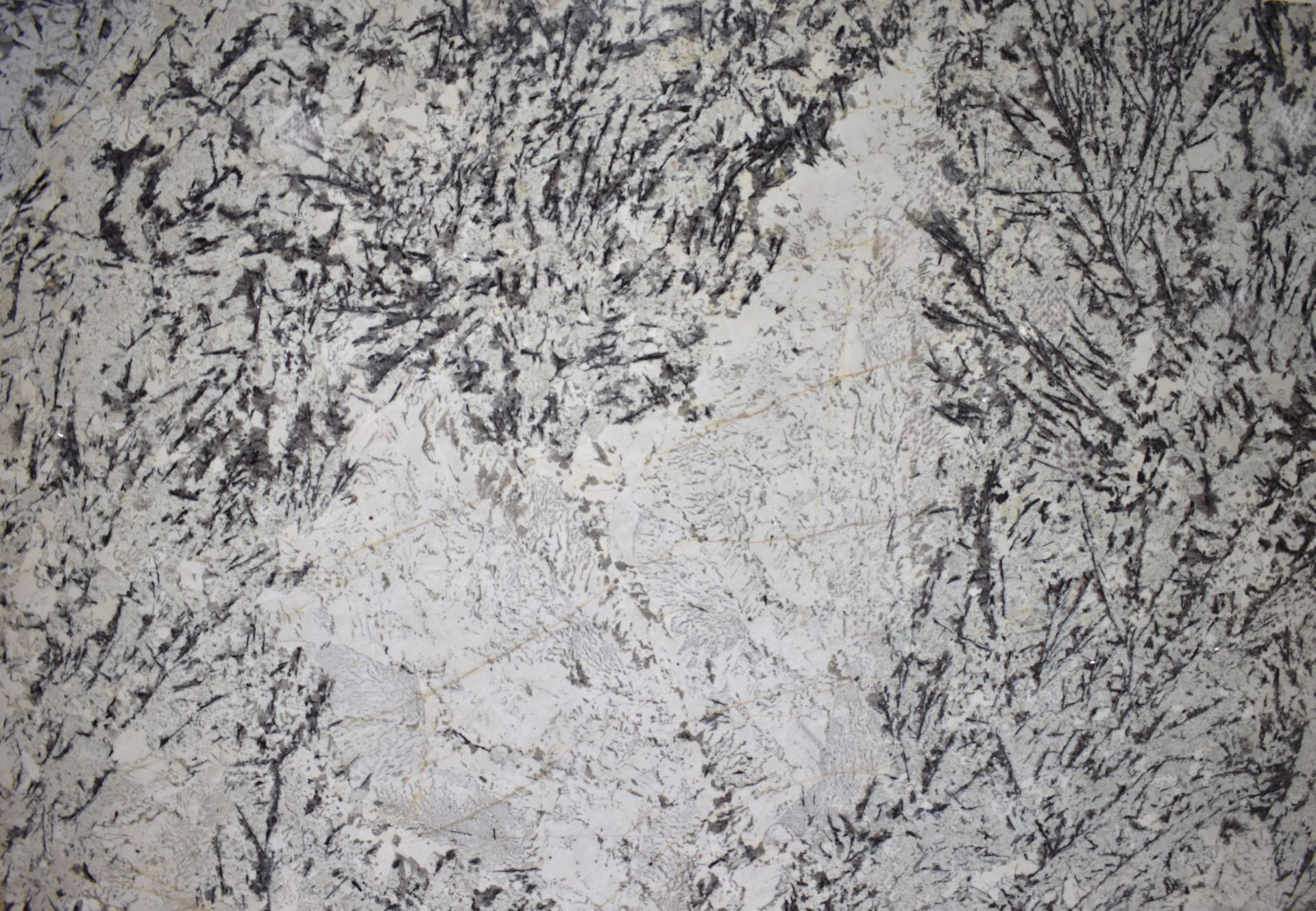Splendor White 1045
