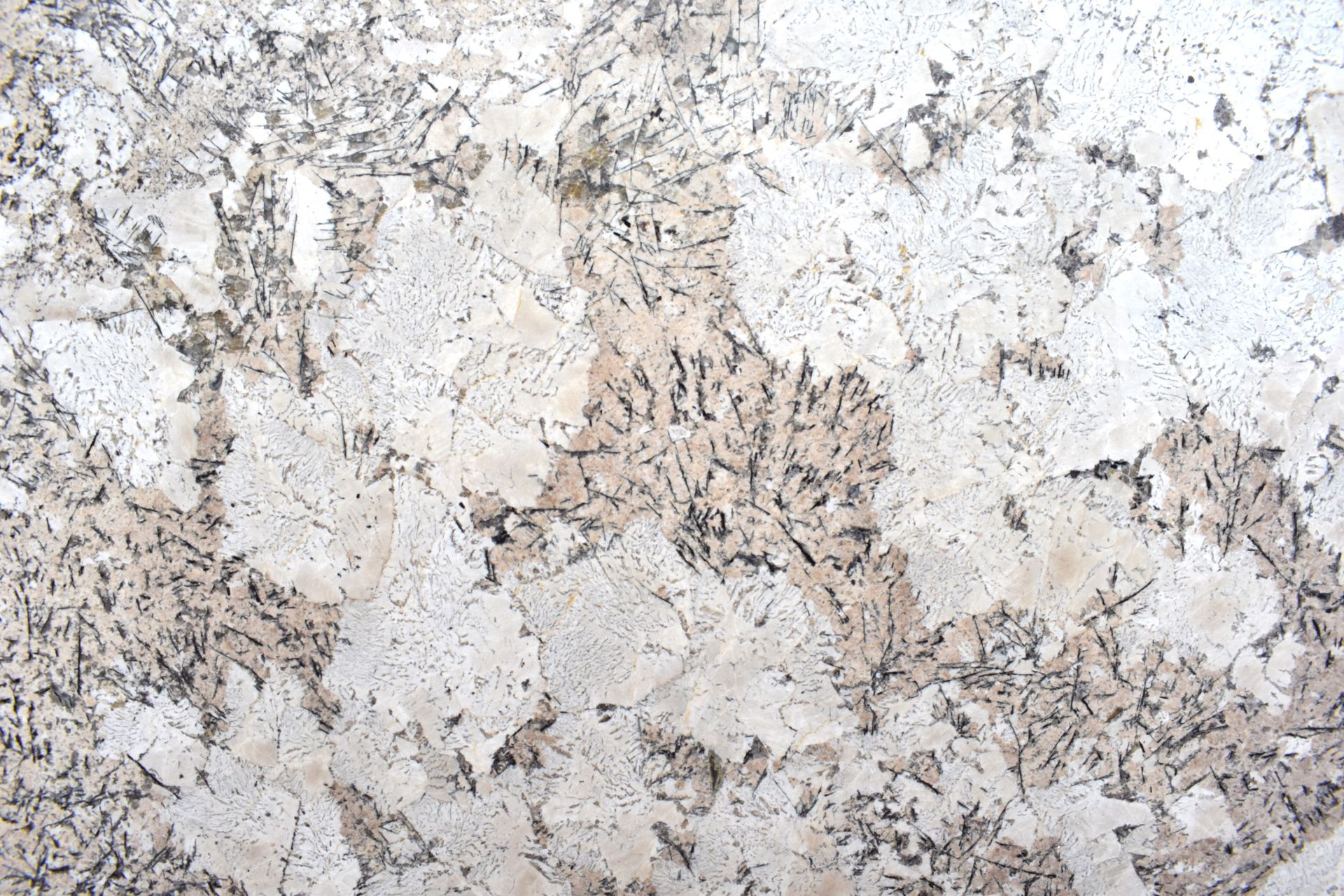 Splendor White 1037