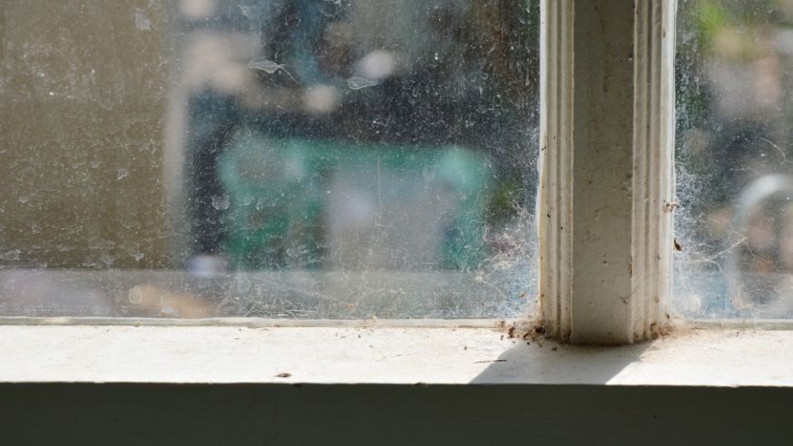 Trusted Window Cleaning