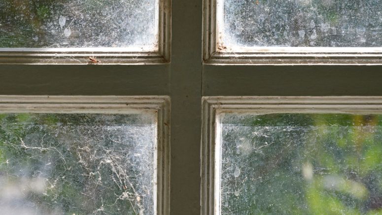 Top-Notch Window Cleaning Paned Window 