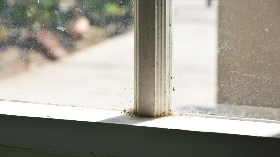 Premier Hard Water & Stain Removal