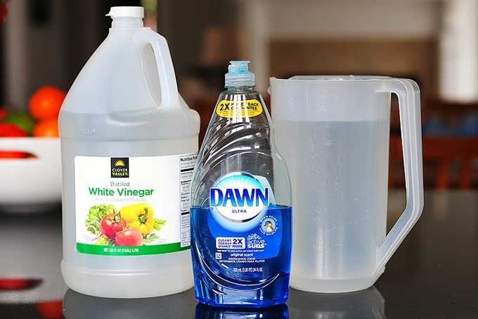 Natural & DIY Cleaning Solutions (Eco-Friendly Options)