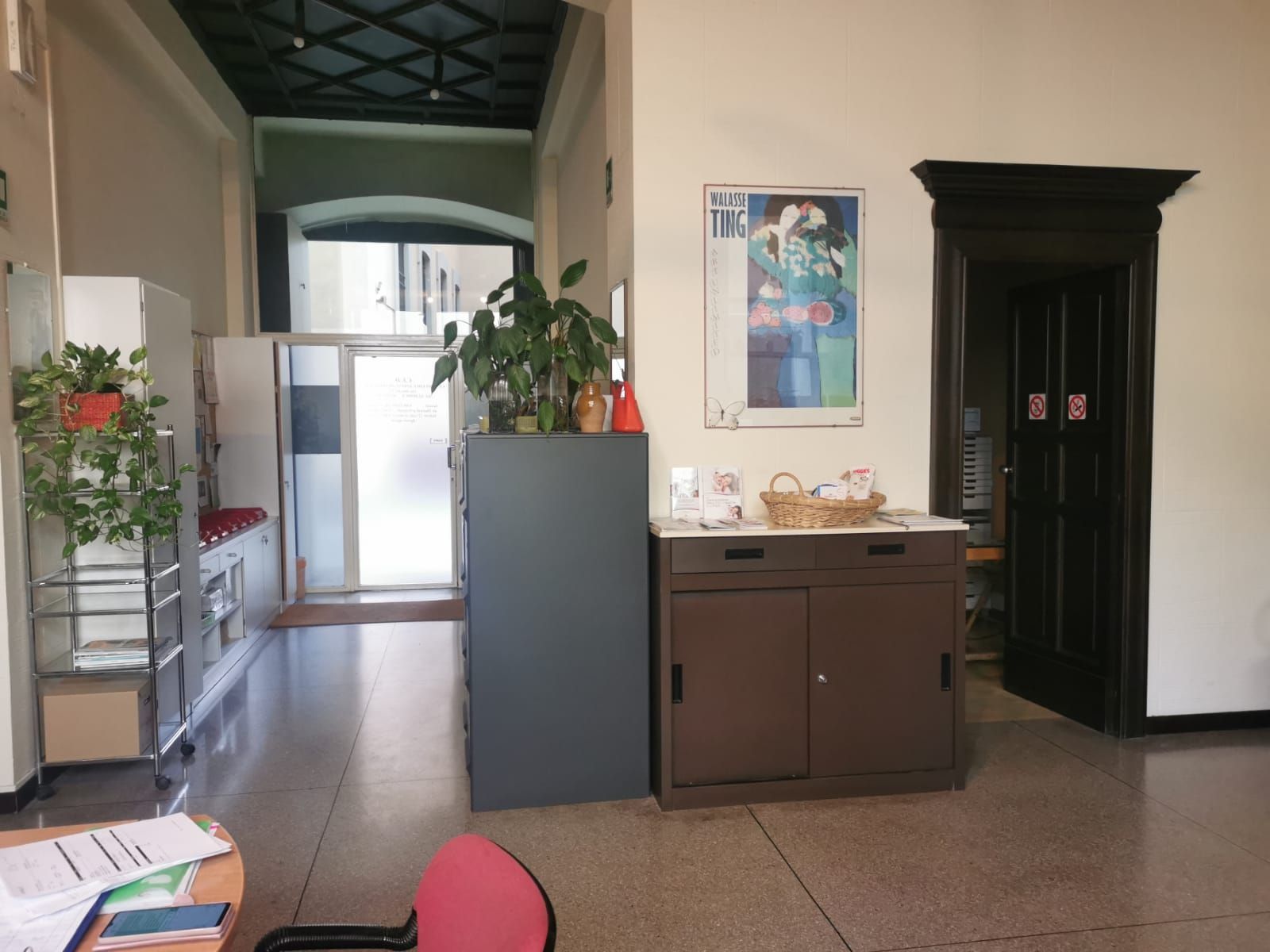 Corridoio interno con mobiletto grigio, mobiletto marrone, piante e una porta aperta.