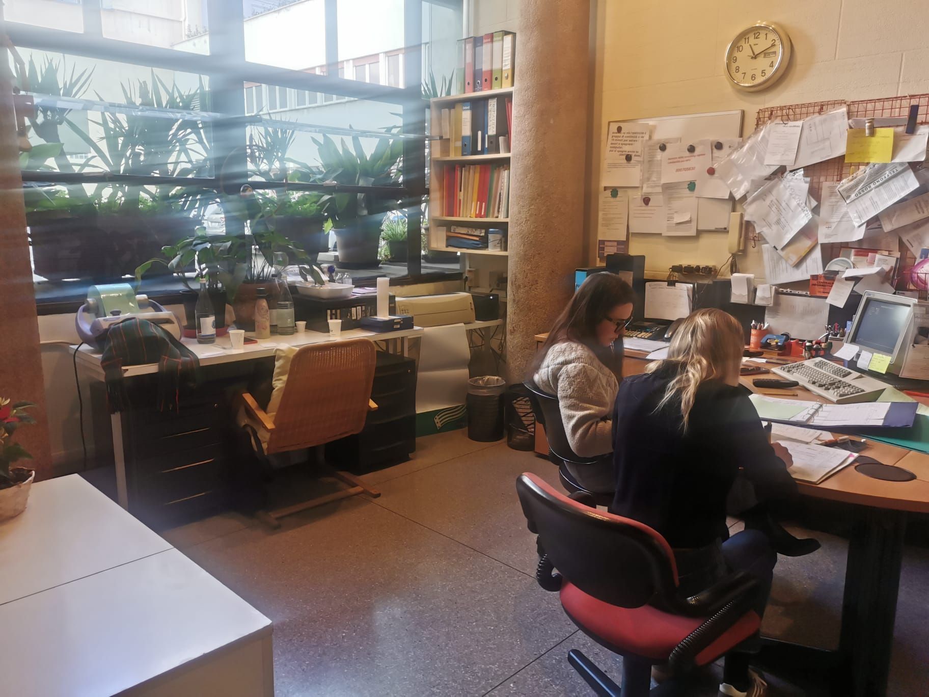 Due persone lavorano alla scrivania in un ufficio; carte alle pareti, piante in vaso vicino a una finestra.