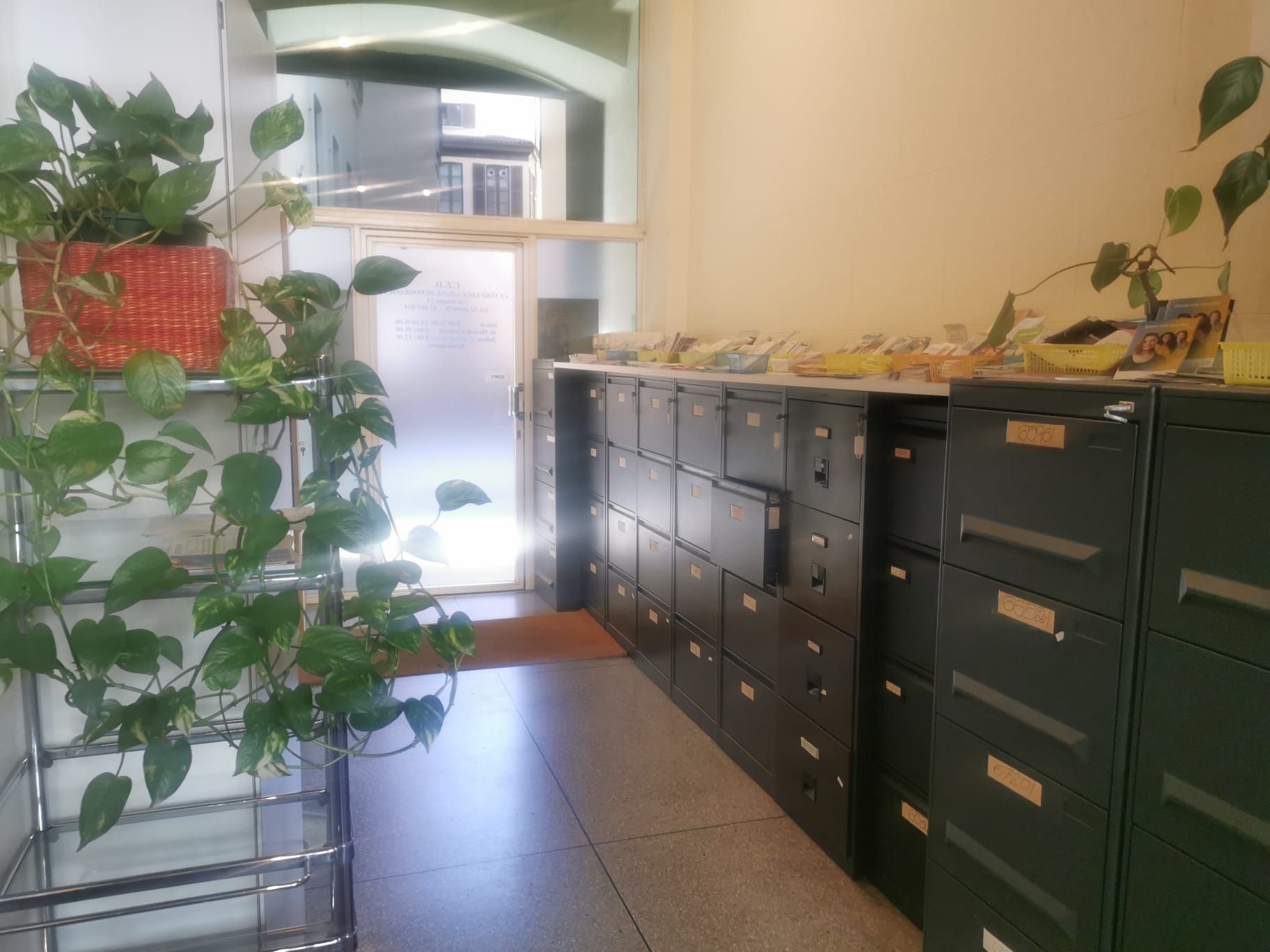 Un'inquadratura interna di cassette della posta, con piante su uno scaffale a sinistra e una porta aperta sullo sfondo.