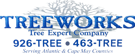 Tree Works Tree Works