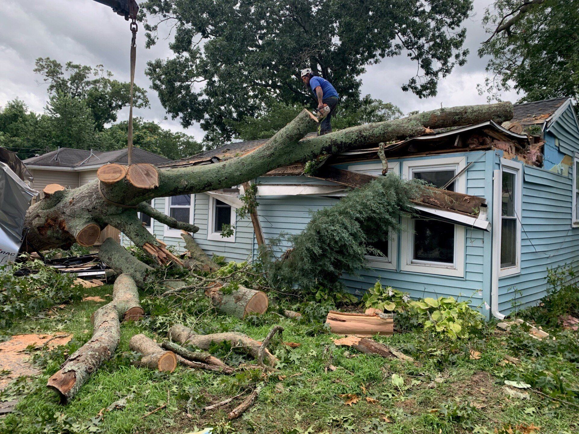 Down Tree On House — Atlantic and Cape May Counties in Southern New Jersey — Tree Works Down Tree On House — Atlantic and Cape May Counties in Southern New Jersey — Tree Works