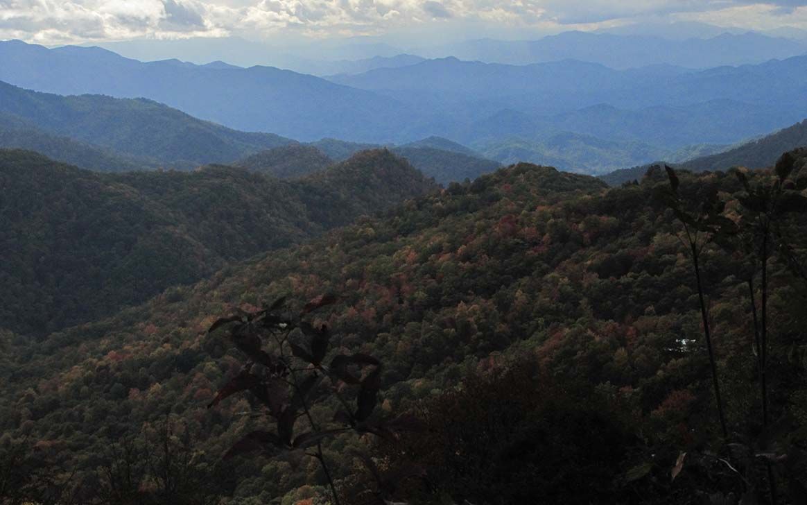 A view of a mountain range with trees and mountains in the background