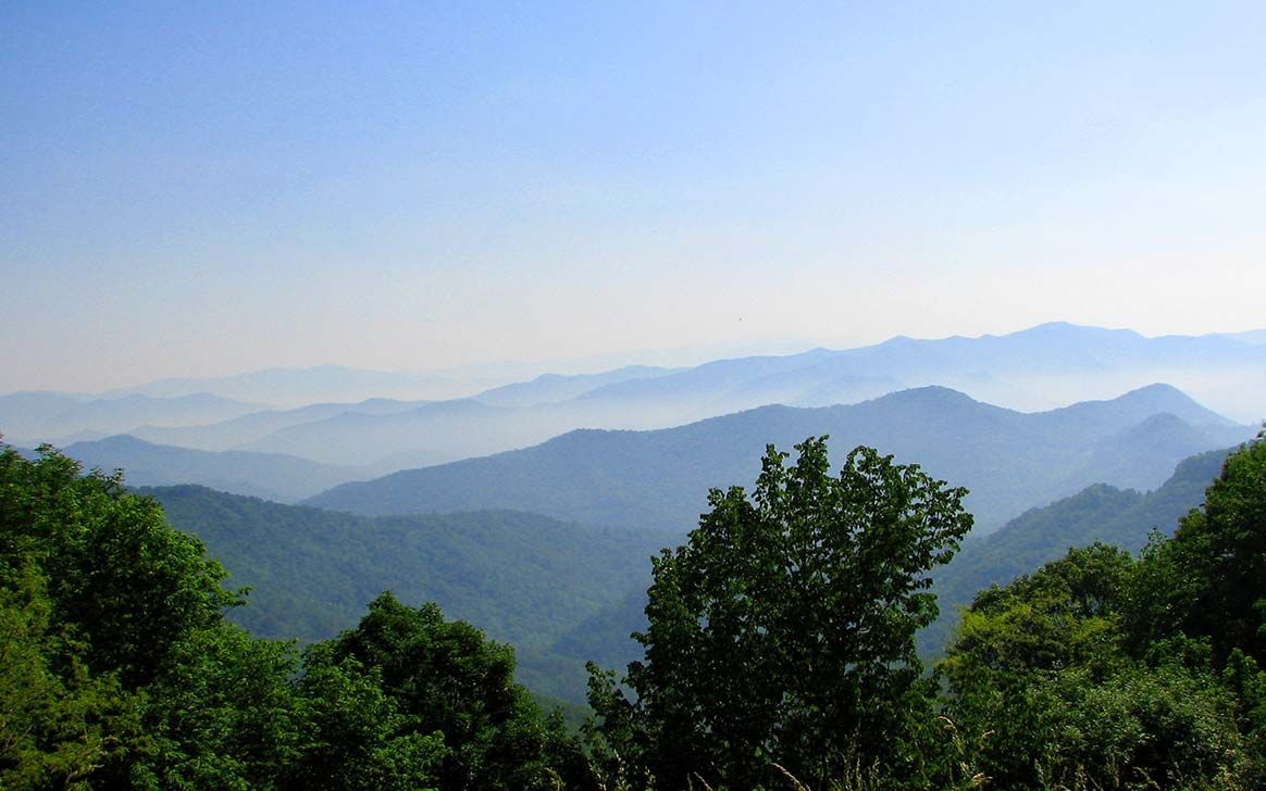 A view of a mountain range with trees in the foreground