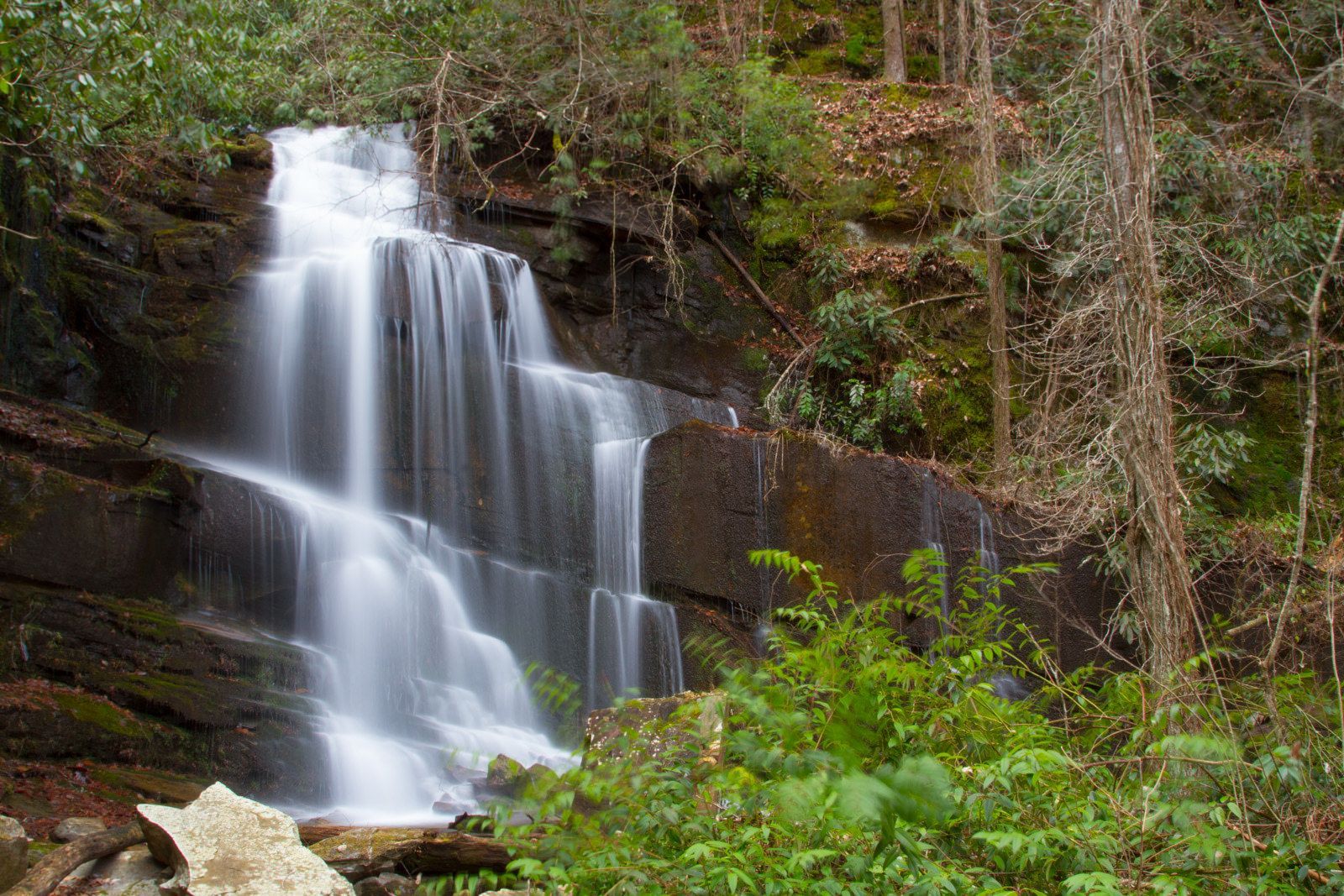 A waterfall in the middle of a forest