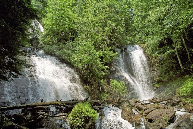 A waterfall in the middle of a lush green forest
