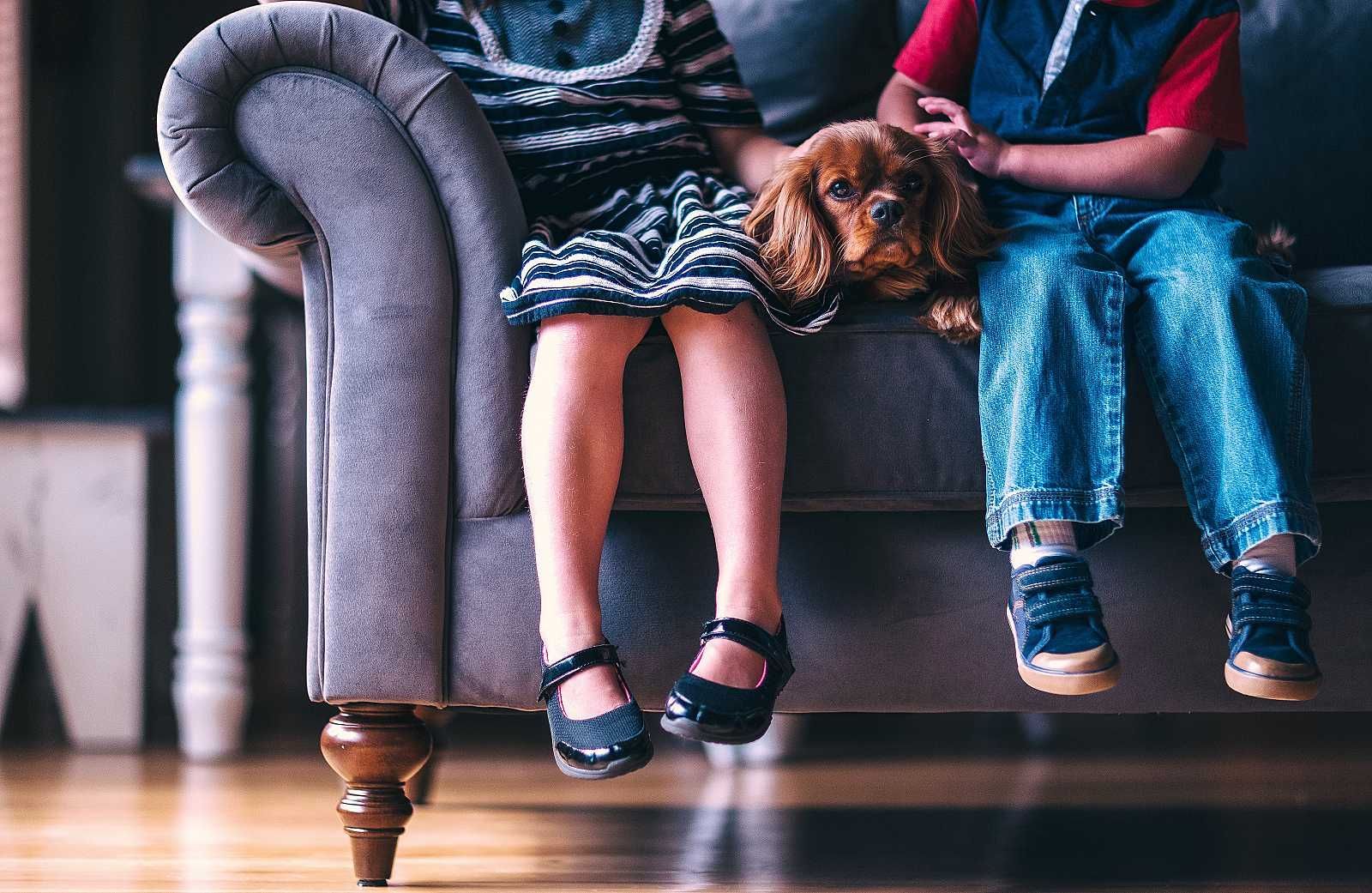 A boy and a girl are sitting on a couch with a dog