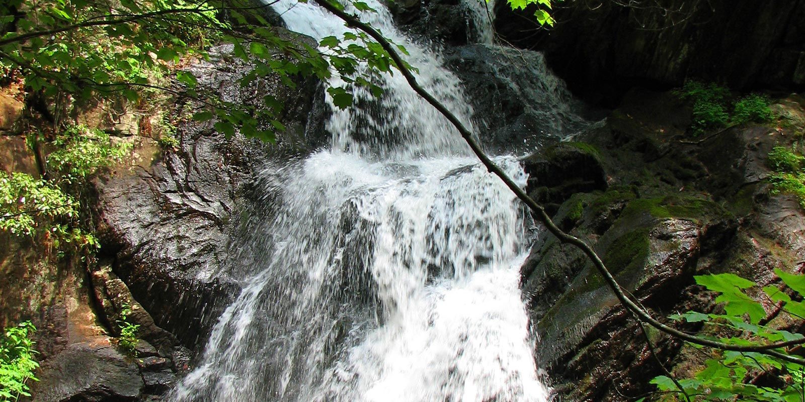 A waterfall is surrounded by trees and rocks