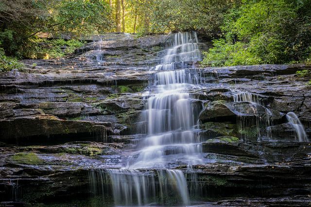 A waterfall is surrounded by trees and rocks in the middle of a forest.