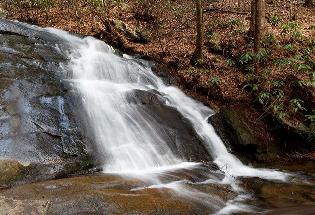 A waterfall is surrounded by trees and rocks in the woods