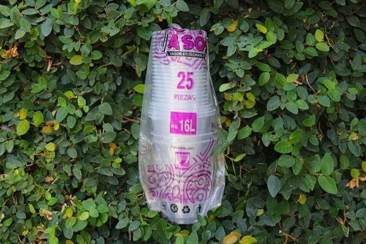 Un vaso de plástico está encima de un arbusto.