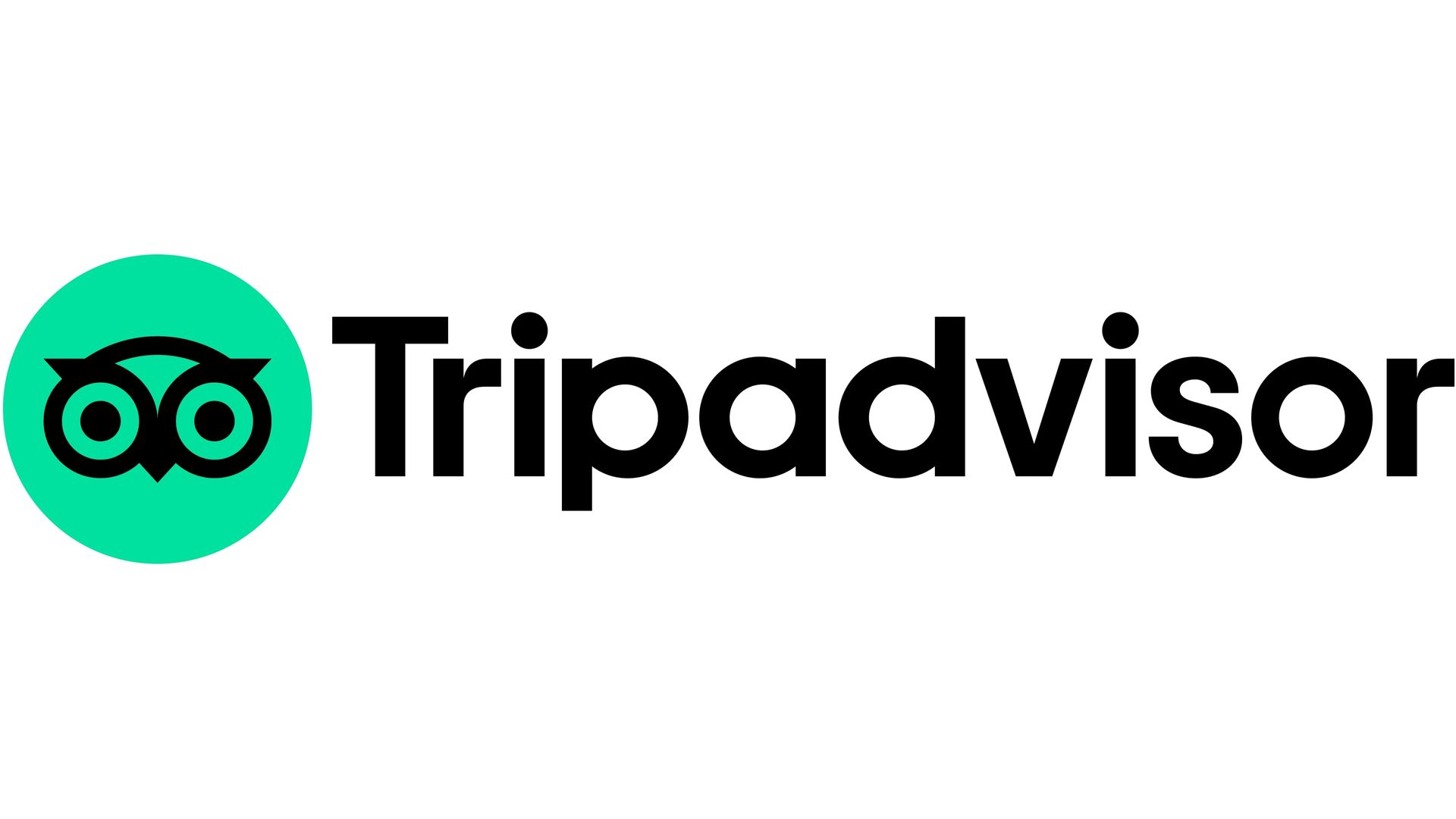 Tripadvisor logo with green owl icon and black wordmark