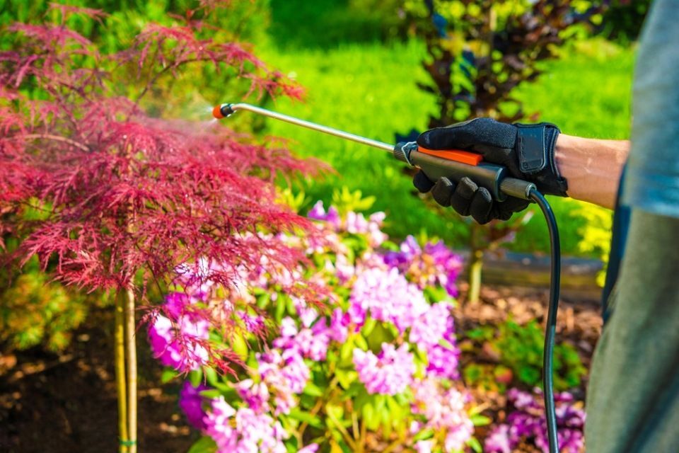 trattamenti per pianti e fiori