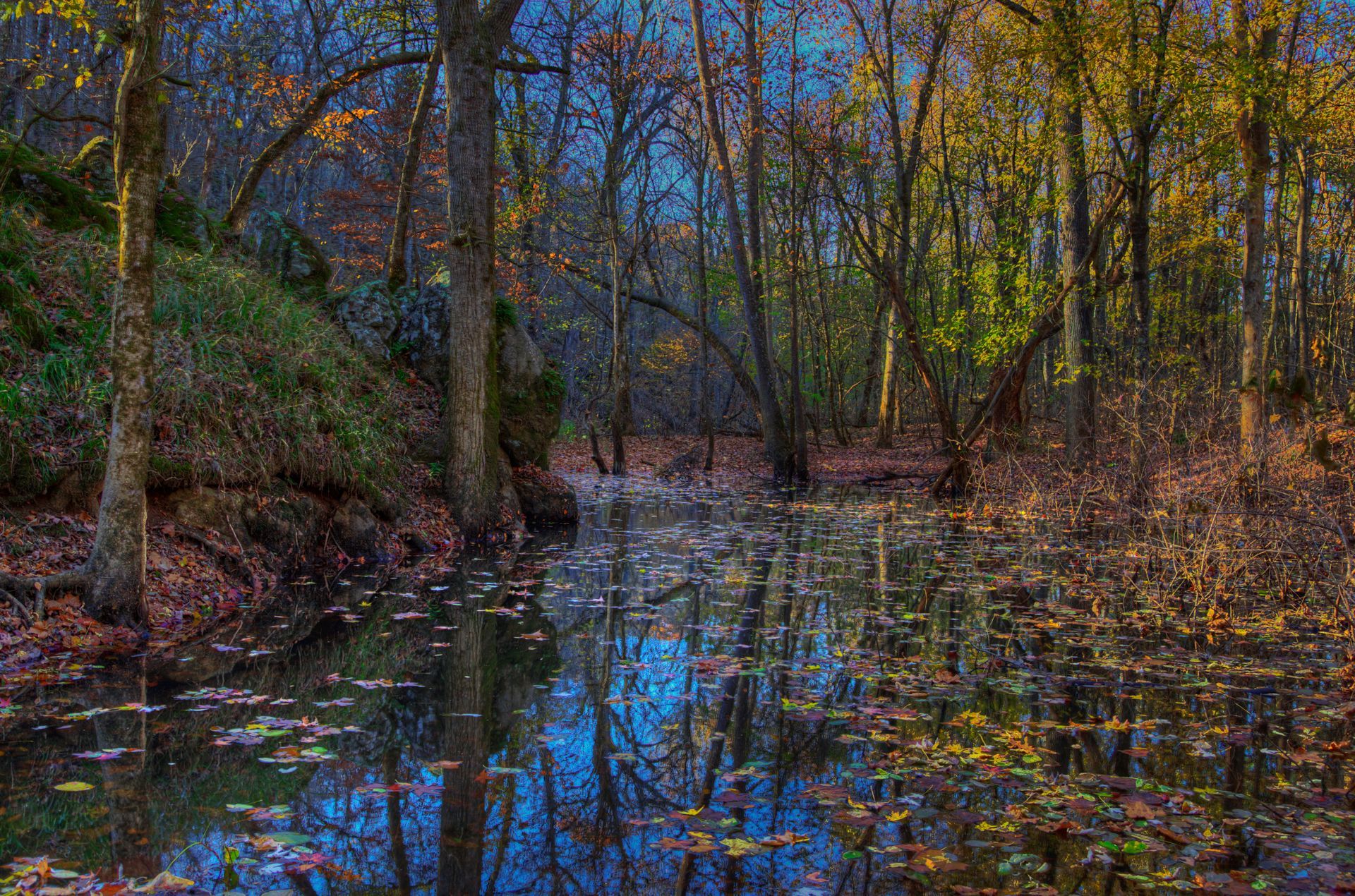 A still, reflective stream runs through an autumn forest with vibrant yellow leaves and a deep blue sky above.