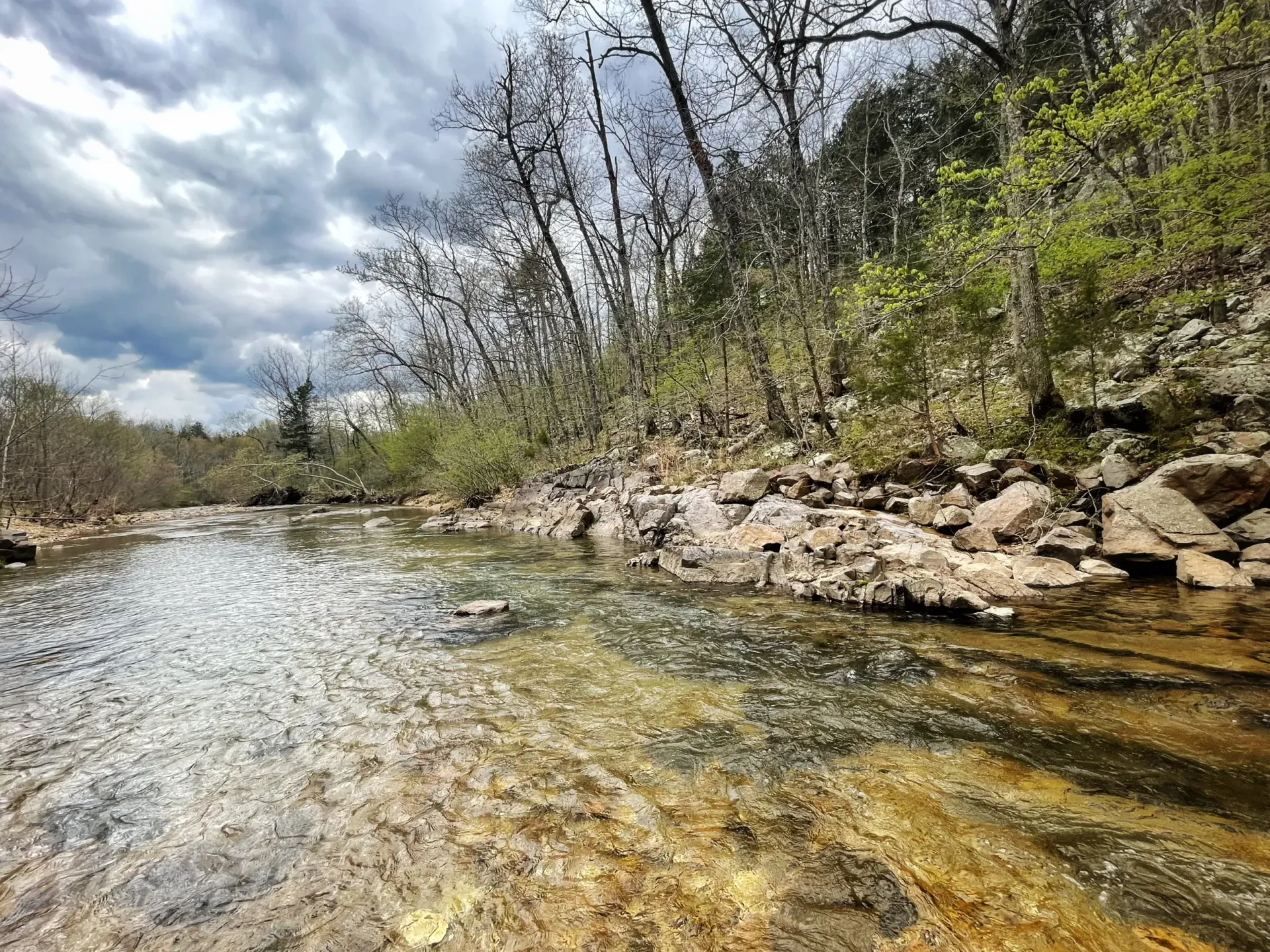 A shallow, clear stream flows over a rocky bed beside a wooded bank under a cloudy, overcast sky.