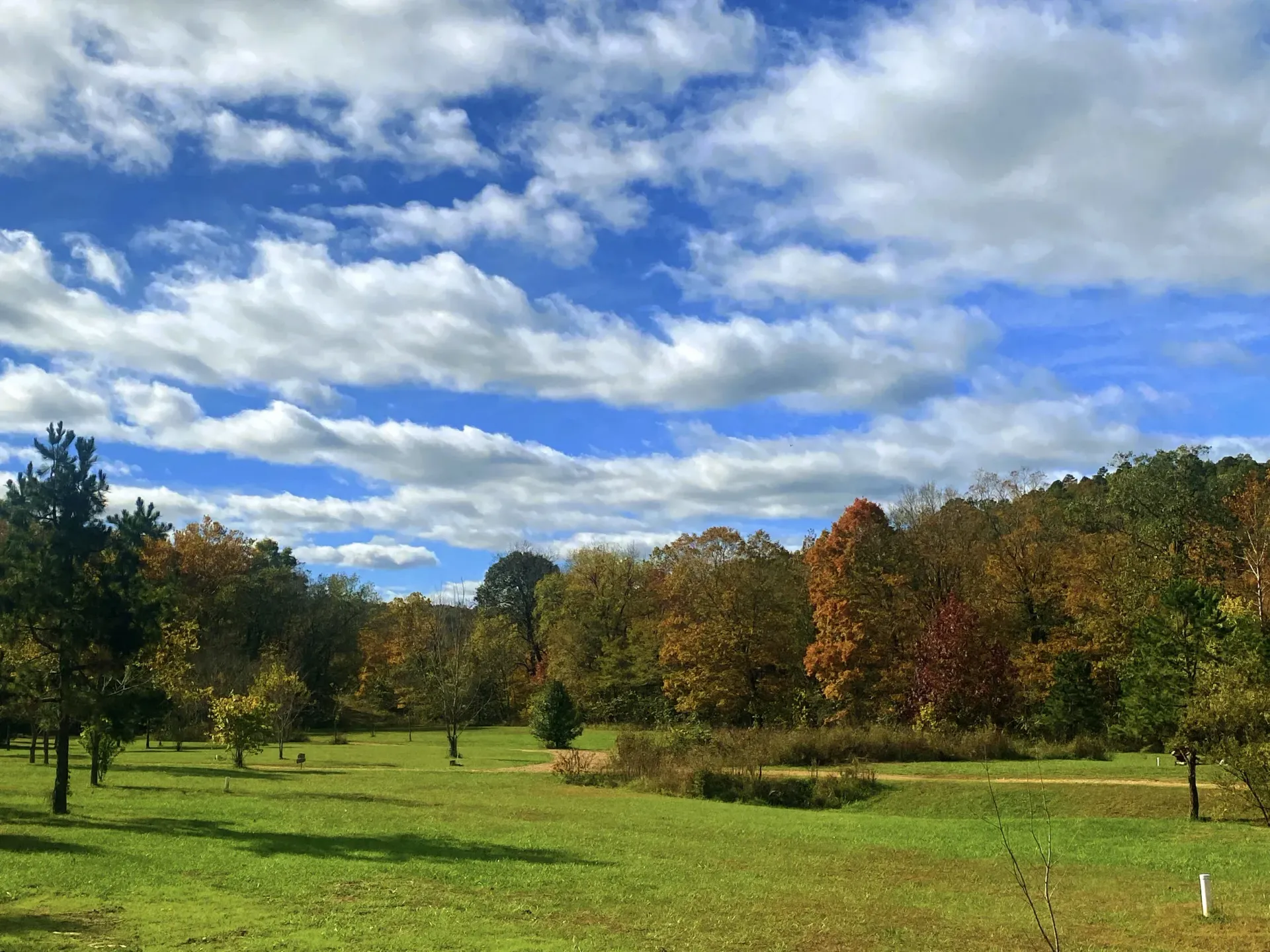 A grassy field stretches toward a colorful autumn forest under a bright blue sky filled with scattered white clouds.
