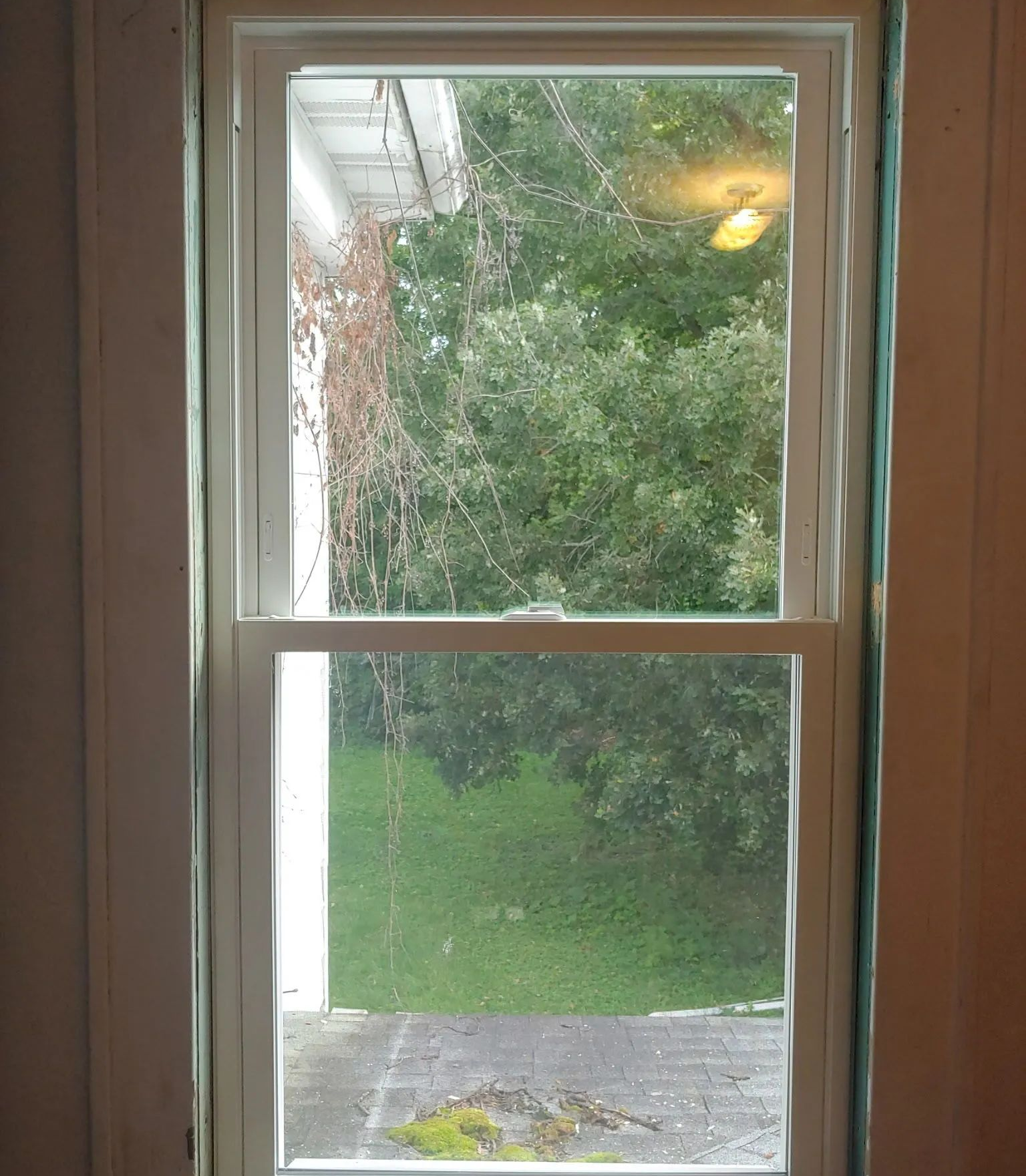 Rainy backyard view through a window with green trees and lawn, and a small puddle on the patio.