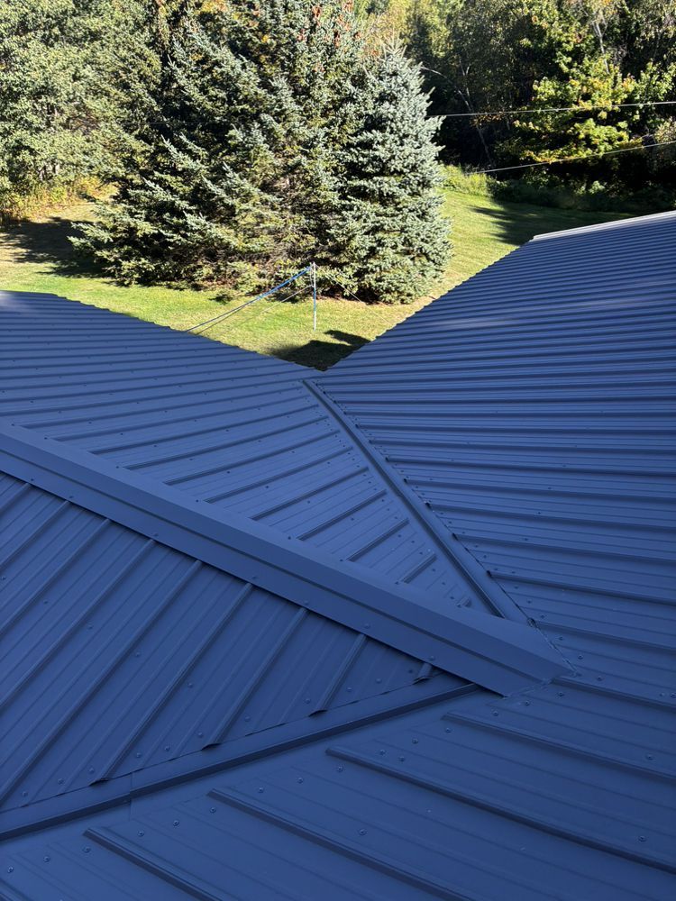 Blue metal roof with standing seams and a grassy yard with evergreen trees in the background