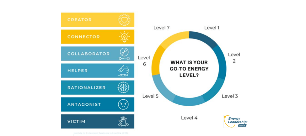 A pie chart showing what is your up-to-the-most level.
