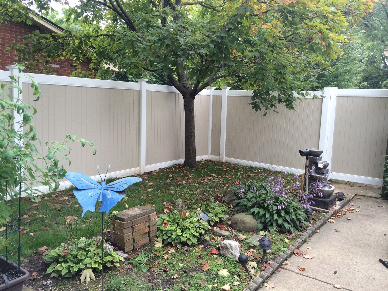 A backyard with a fence , a tree , a fountain and a butterfly.
