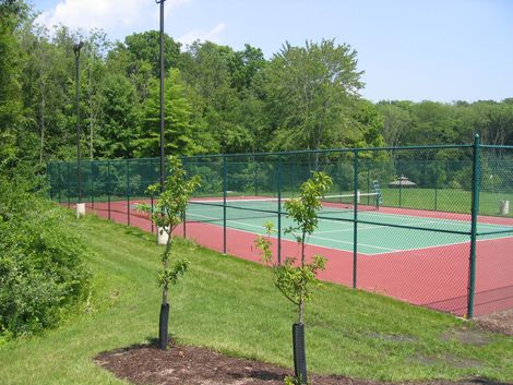 A close up of a chain link fence with a green background.