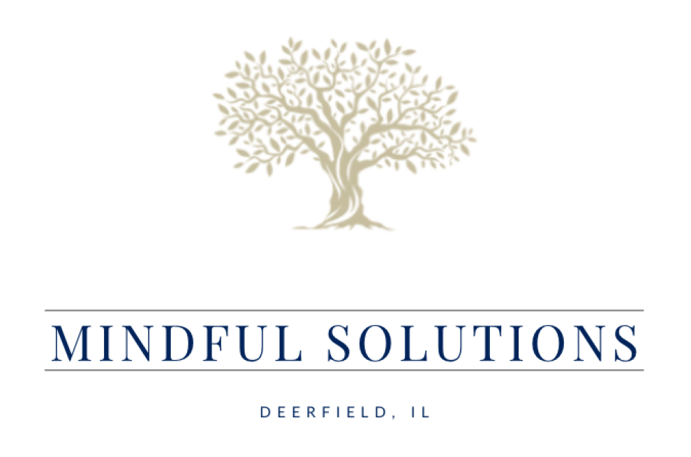 Mindful Solutions, LLC Mindful Solutions, LLC