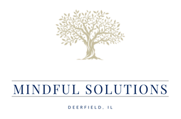 Mindful Solutions, LLC Mindful Solutions, LLC